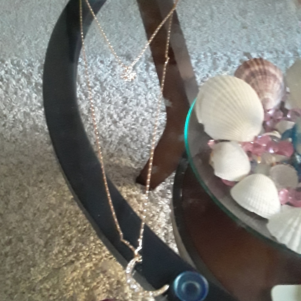 Forever 21 Necklace